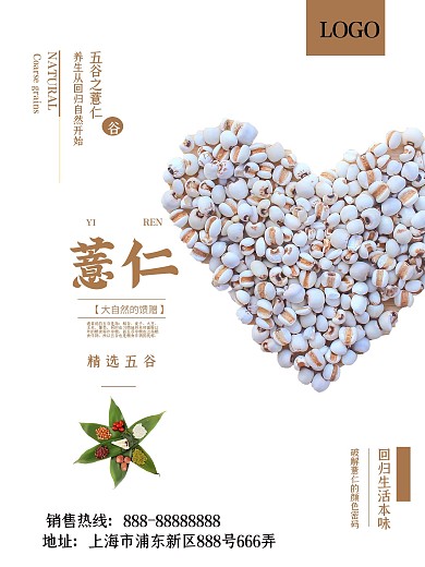 简洁大气五谷之薏仁海报
