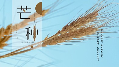 芒种小麦节气横版简洁海报