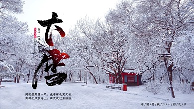 简约二十四气节之大雪横版海报