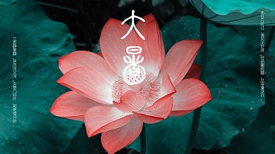 大暑传统节日二十四节气海报夏天夏季荷花