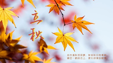 立秋传统节日二十四节气海报秋天秋季