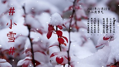 二十四节气小雪