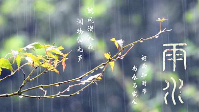 雨水传统节日二十四节气海报春天