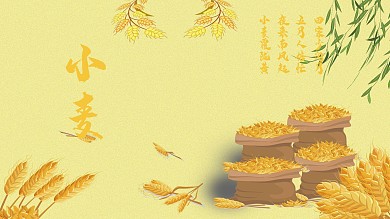 小麦小满时节丰收