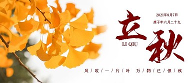 立秋秋天银杏树杏叶黄色金秋秋季秋分节气