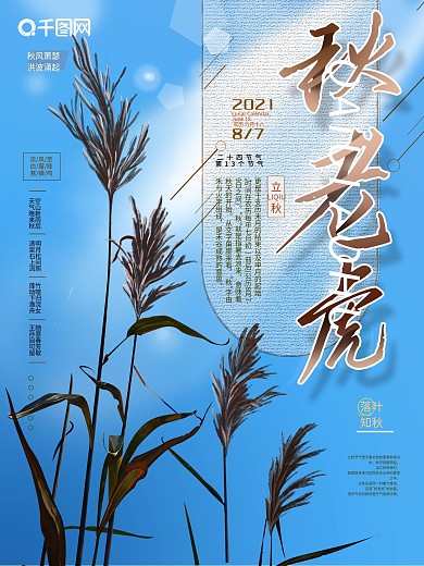 原创手绘秋老虎立秋芦苇蓝色系海报