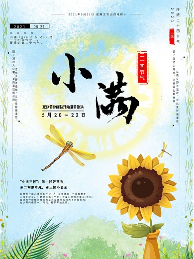 向日葵图片