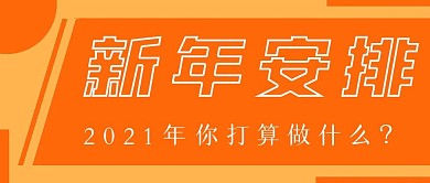 清新简约新年安排宣传