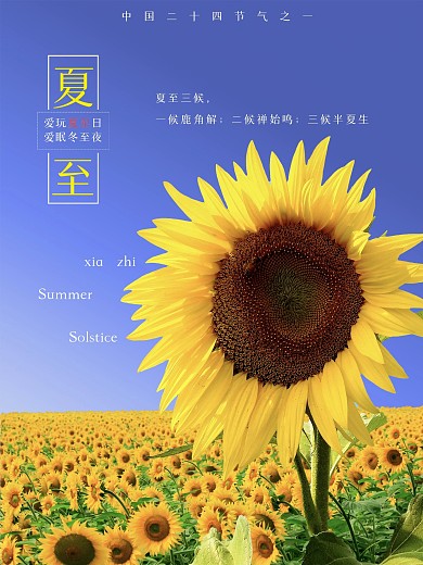 清新简约向日葵立夏夏至海报