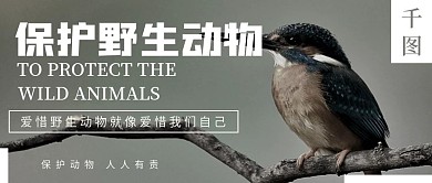 简约保护野生动物宣传