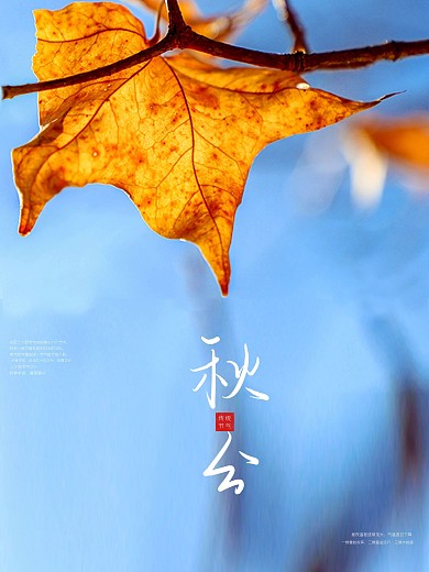 秋分海报秋分节气入秋展架唯美秋分海报