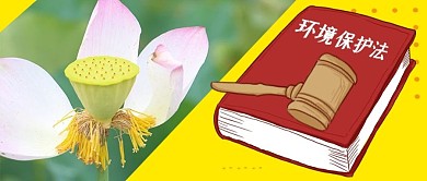 环境保护法爱护环境环保法律法规法槌书荷花