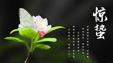 惊蛰传统节日二十四节气海报春天