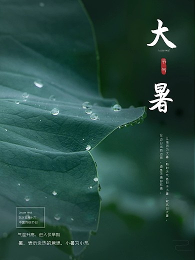 大暑海报唯美中国风大暑节气荷叶
