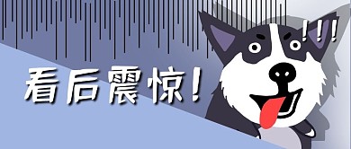 哈士奇狗头震惊吃惊趣味公众号首图