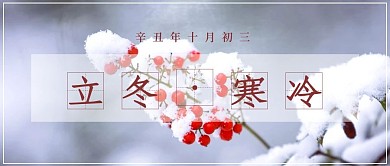 简约清新立冬公众号封面