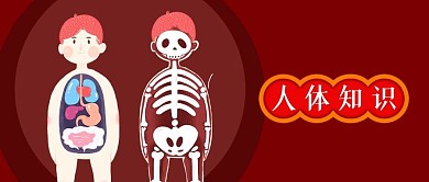 公众号封面红色手绘人体图片内脏骨骼医学