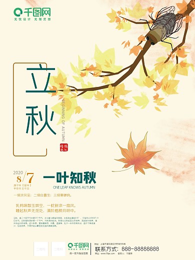 简约二十四节气立秋节气摄影图宣传海报