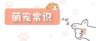 萌宠常识宠物养护宠物店微信公众号封面首页