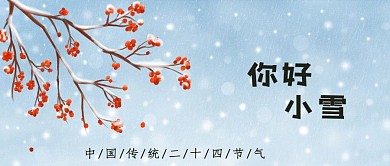 冬季冬天二十四节气小雪雪中梅