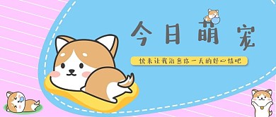 卡通可爱的宠物公众号封面