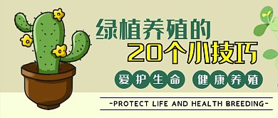 绿植养殖的小技巧绿色健康手绘卡通公众号