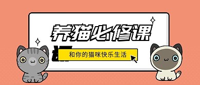 养猫必修课3D字体公众号首图