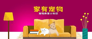公众号封面家居宠物卡通猫狗沙发剁手补给站