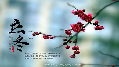 简约冬日腊梅立冬横版海报