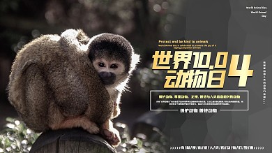 护野生动物、爱护动物宣传展板