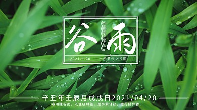谷雨海报绿色植物传统二十四节气宣传海报