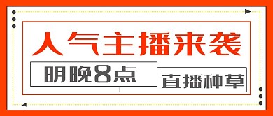 简约主播直播活动宣传