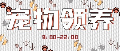 简约宠物领养宣传