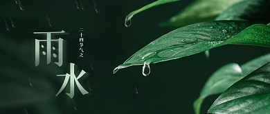 雨水节气公众号封面