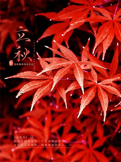 二十四节气之立秋海报