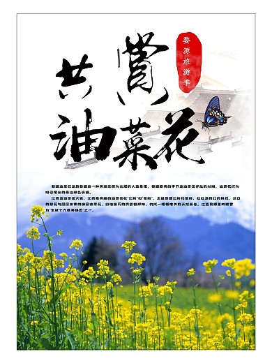 油菜花旅游海报