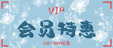 简约VIP会员特惠