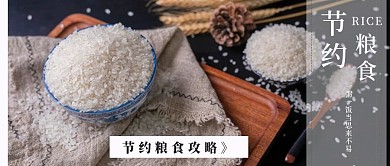 简约节约粮食攻略