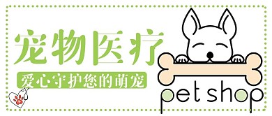 宠物医疗守护萌宠公众号用图