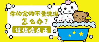 宠物洗澡新媒体用图