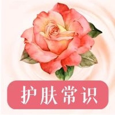 公众号次图粉红背景玫瑰花植物美妆护肤常识
