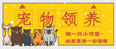 简约宠物领养推荐