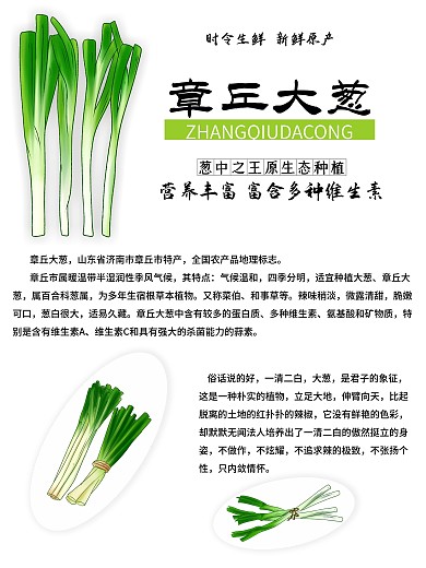 章丘大葱海报模板