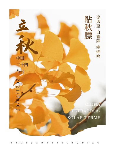 立秋秋天落叶蝉叫凉风