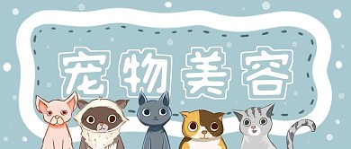 宠物美容可爱卡通清新公众号封面