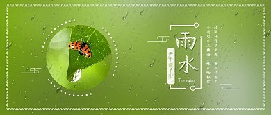 小清新原创雨水节气植物背景配图