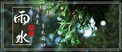 雨水二十四节气中国传统节日公众号配图