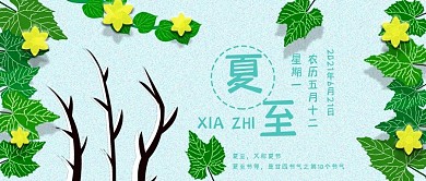 公众号封面295夏至节气绿色环保主页