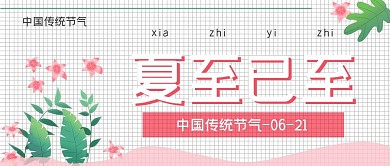 清新简约夏至已至