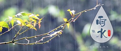 二十四传统节气雨水微信公众号封面图源文件